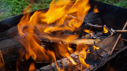fire. the fire in the grill. cooking on the fire.