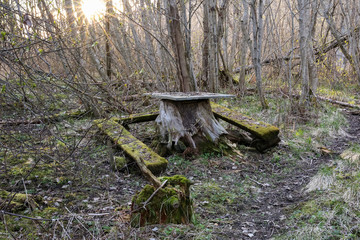 Table in the woods