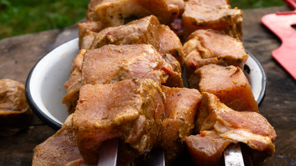 marinated pork skewers on skewers with spices and onions. raw meat in chunks