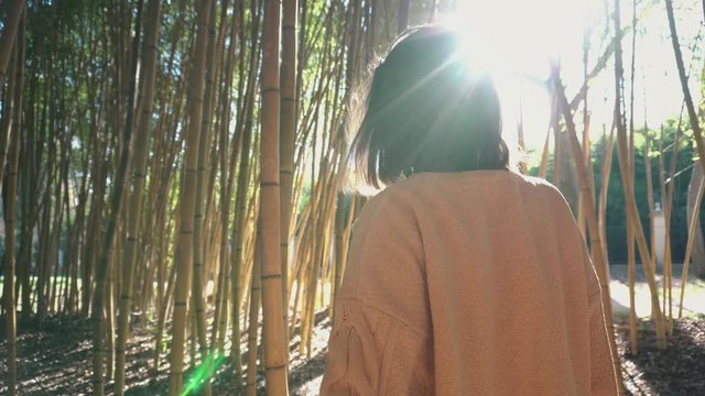  A young girl walks in a bamboo forest. Slow-motion video