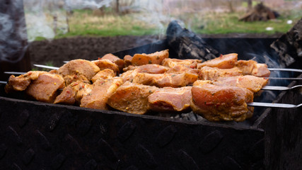 cooking pork skewers on the grill. meat with spices.