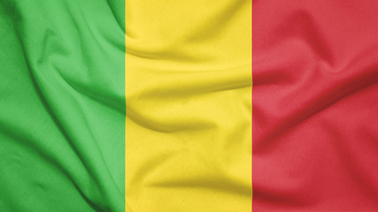 Obraz premium Mali flag with fabric texture