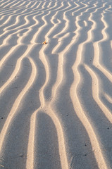 Desert dunes lines abstract 