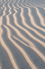 Desert dunes lines abstract 