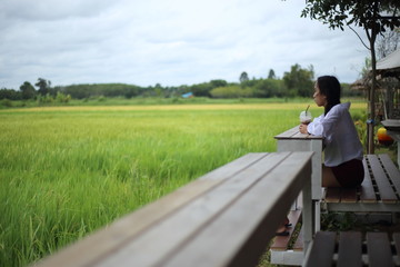 Woman sitting and watching rice fields Rayong, Thailand