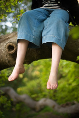 A Girl Dangles Her Feet from the Branch of a Tree She has Climbed