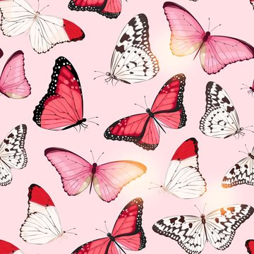 Vector pattern with high detailed tropic butterfly