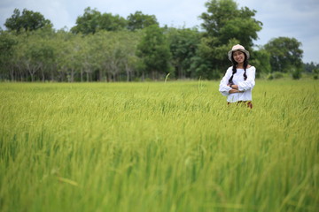 Fototapeta na wymiar A woman standing in a rice field in Rayong, Thailand