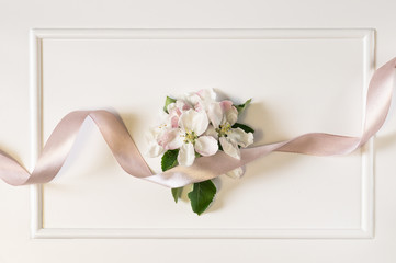 Spring apple blossom branches with pink ribbon over white background. Top view