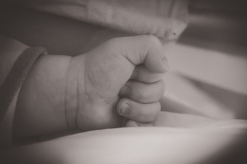 newborn baby feet