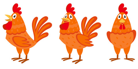 Cock in different poses. Farm animal in cartoon style.