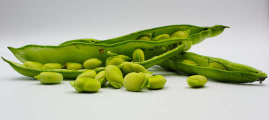 panoramic of open green broad beans in their shells and some shelled beans isolated on a white background