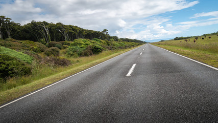Road leading to the distance (tilted). Shot made during sunny day on the West Coast region of New Zealand 