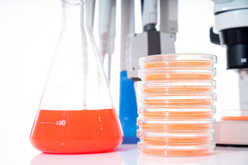 microscope, petri dishes and pipette stand by microbiological laboratory
