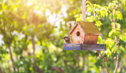 Colorful birdhouse in idyllic garden: Wooden birdhouse and copy space - obrazy, fototapety, plakaty