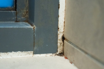 Old plastic window frame in the shower. Moldy angle, fungus. Problem areas shower.