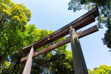 明治神宮鳥居