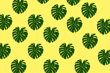 top view of green monstera leaf pattern on bright light yellow background. minimal summer concept