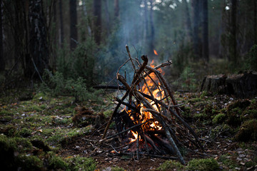 fire in the forest