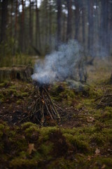 fire in the forest