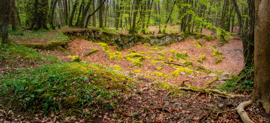 The quarry in Emo woods, County Laois, Ireland