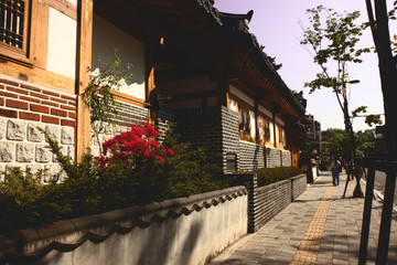 flower on the street in Korea traditional house village