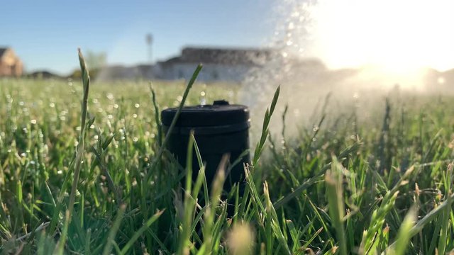 Close-up of Sprinkler Head Watering a Lawn