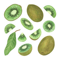 Fototapeta premium Kiwi plant whole and sliced ripe fruit and leaves watercolor botanical illustration, simple pattern for making greeting cards, invitations, menu, textile