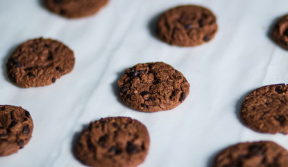 chocolate chip cookie on white cooking paper close up