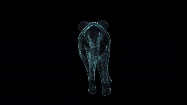 Elephant Hologram Wireframe. Nice 3D Animation on a black background with a seamless loop for futuristics projects