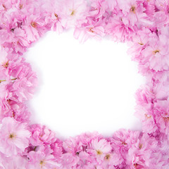 Spring pink sakura flowers frame