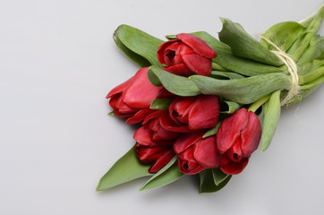 Tulips bouquet : red flowers