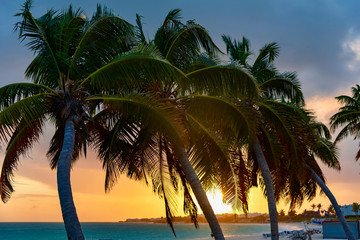 Naklejka na ściany i meble colorful tropical sunset on Anguilla island Caribbean sea