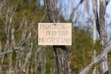 Signboard on a tree prohibiting camping, written in Spanish and English, Spanish text transplates to Camping prohibited