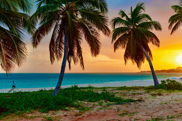 Obraz na płótnie Canvas colorful tropical sunset on Anguilla island Caribbean sea