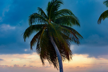 colorful tropical sunset on Anguilla island Caribbean sea