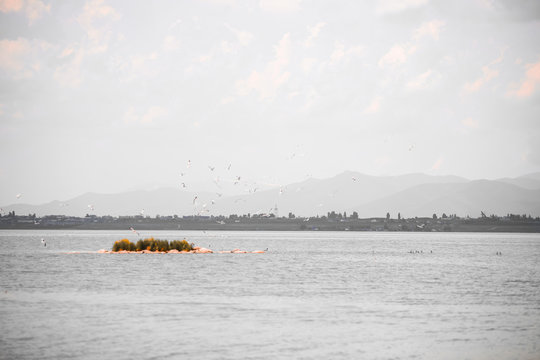 ARMENIA SEVAN