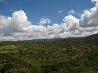 colline sarde