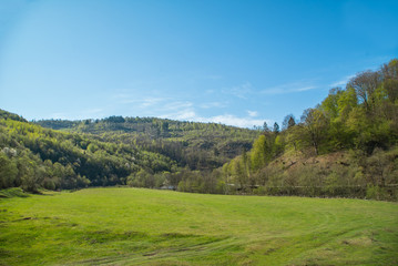 green meadow of grass on a background of forest and mountains.beautiful landscape.