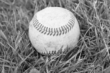 baseball in grass