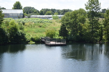 Obraz premium dock on the river