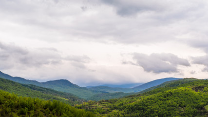 Fototapeta premium green meadows visible mountain tops in the clouds. green trees. clean air.