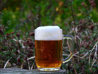 Beer mug with beer in a spring garden