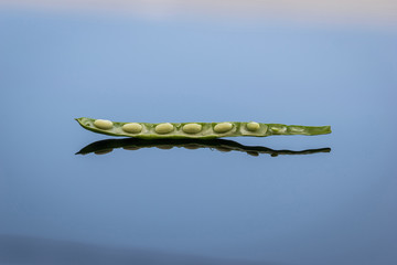 Green bean is lying on a blue glass surface