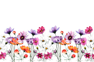 Seamless ribbon border of flowers and buds of Cosmos painted in watercolor and Copy-Space. Design for fabric, packaging, frame, adhesive tape, paper 