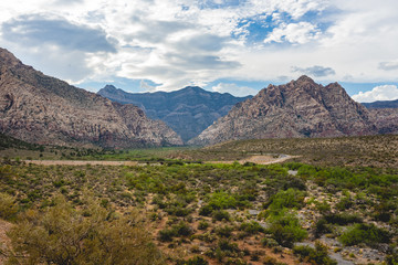 The desert environment inside Red Rock Canyon State Park in Las Vegas, Nevada, USA with storm clouds brewing overhead.