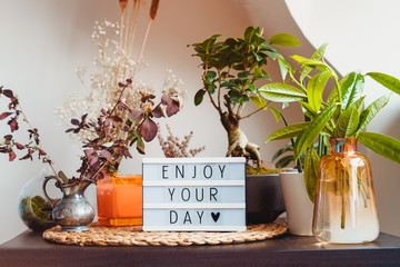 Enjoy your day message on lightbox standing on a table with green home plants. Home gardening...
