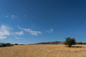 Obraz premium Beautiful landscape with crear blue sky