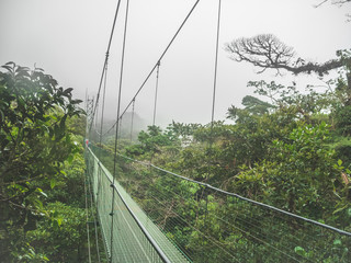 bridge over thecanopy in the forest