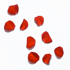 Top view of red rose petals isolated on a white background.